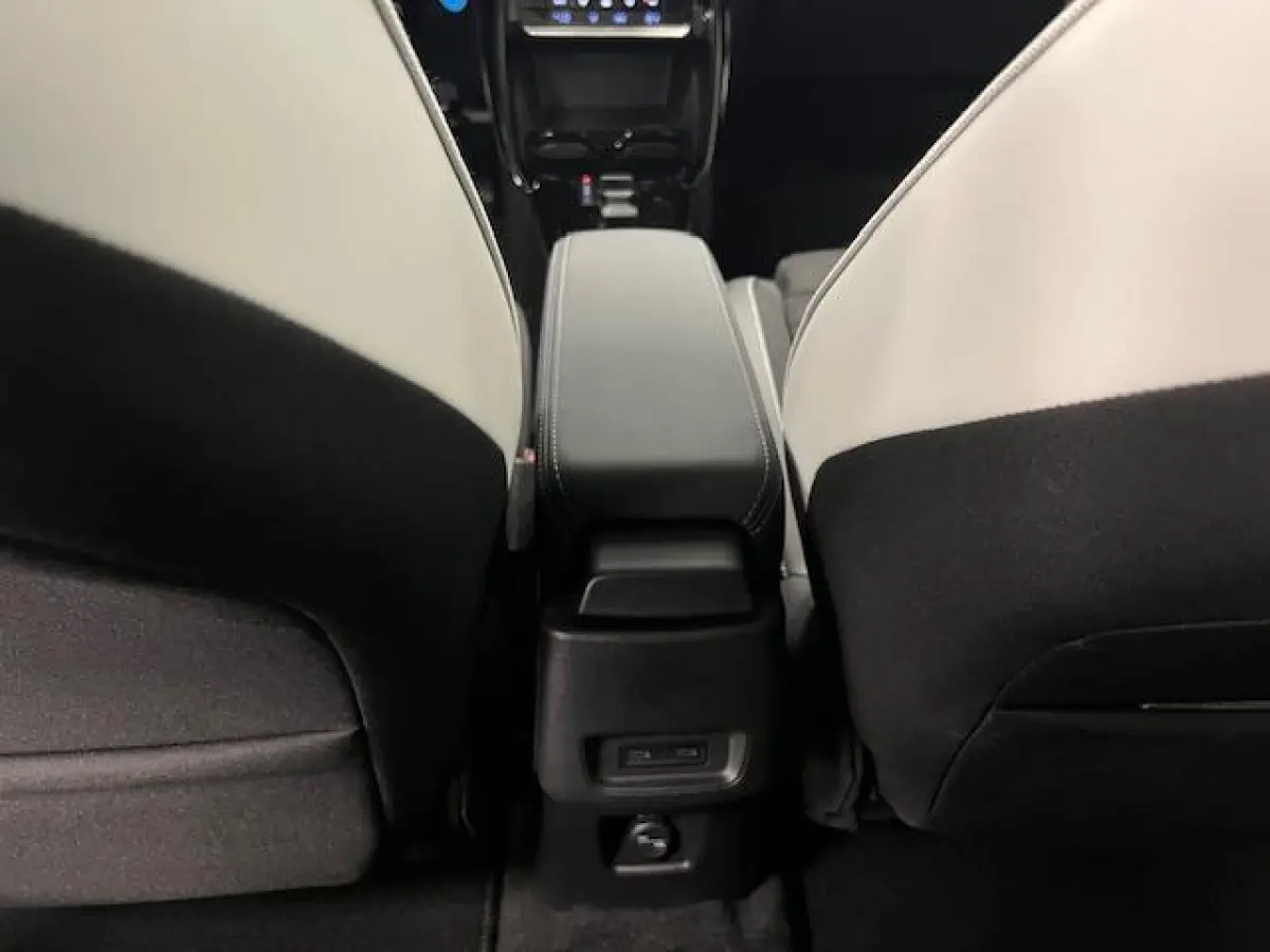 Max 113pk Extended Range 54 kWh Climate control / wit dak / Navi / Camera /