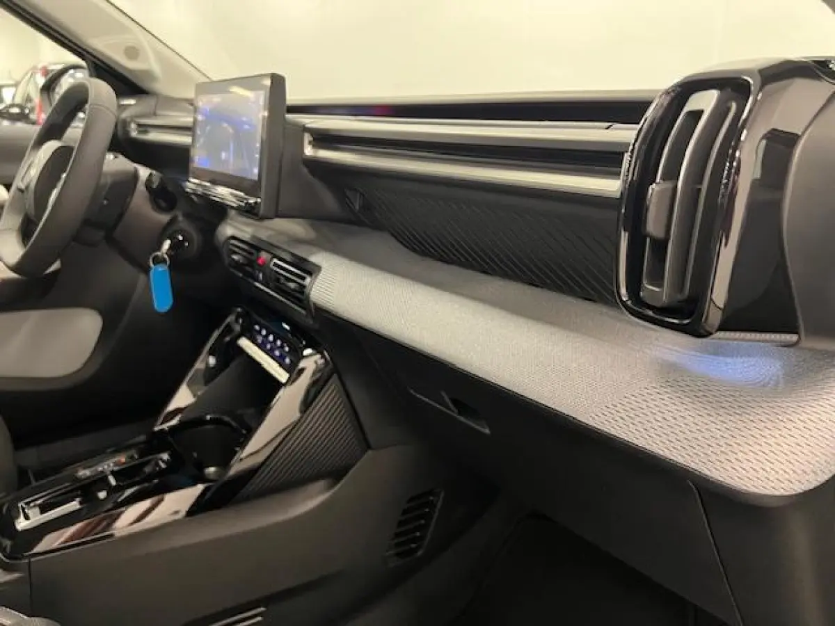 Max 113pk Extended Range 54 kWh Climate control / wit dak / Navi / Camera /