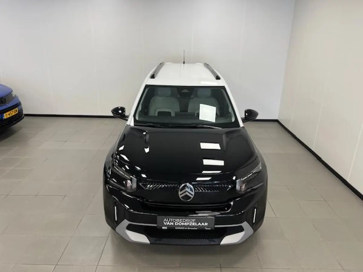 Max 113pk Extended Range 54 kWh Climate control / wit dak / Navi / Camera /