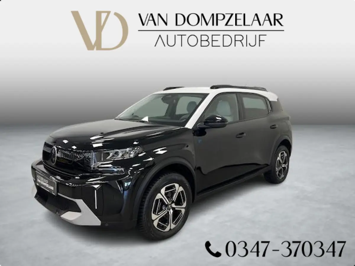 Max 113pk Extended Range 54 kWh Climate control / wit dak / Navi / Camera /