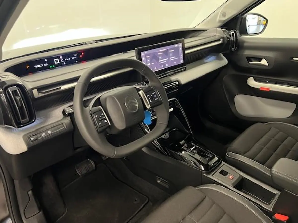 Max 113pk Extended Range 54 kWh Climate control / wit dak / Navi / Camera /
