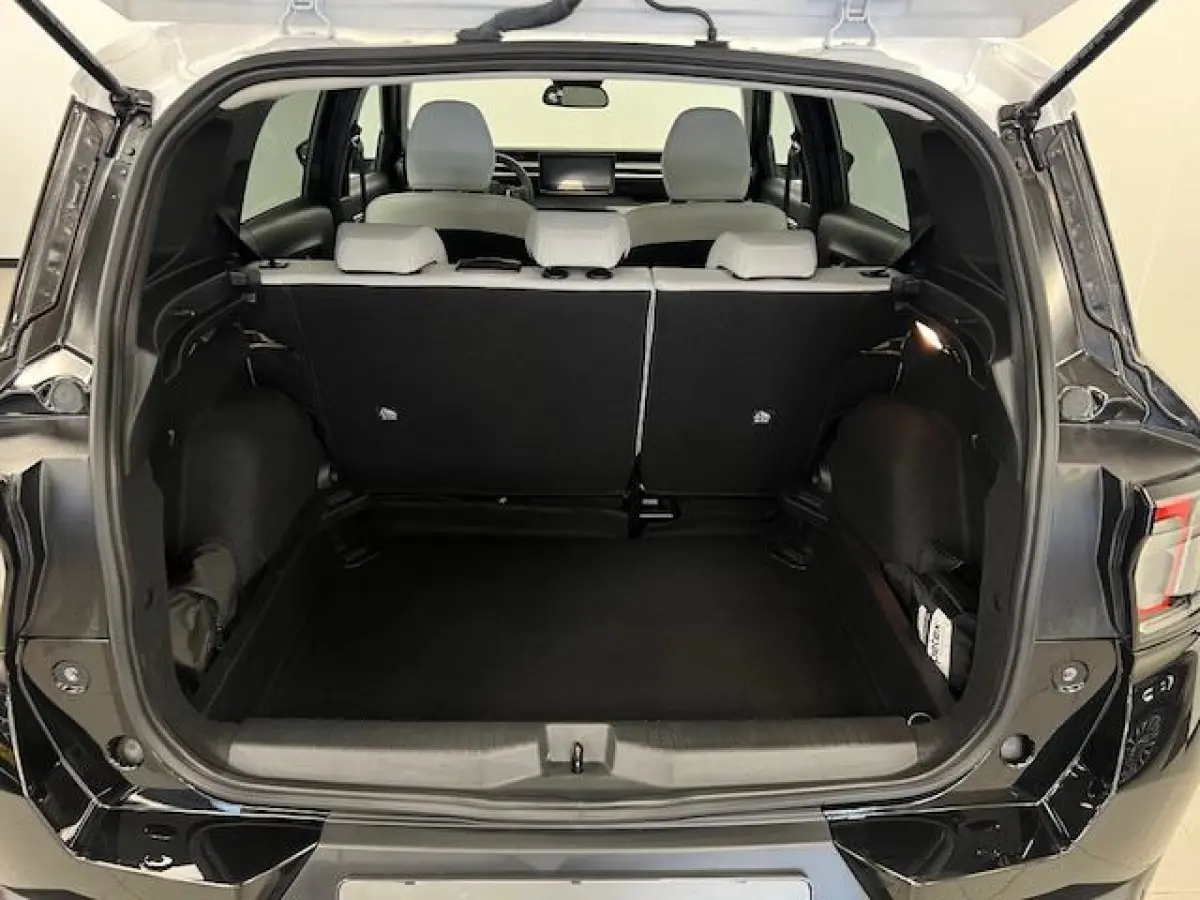 Max 113pk Extended Range 54 kWh Climate control / wit dak / Navi / Camera /