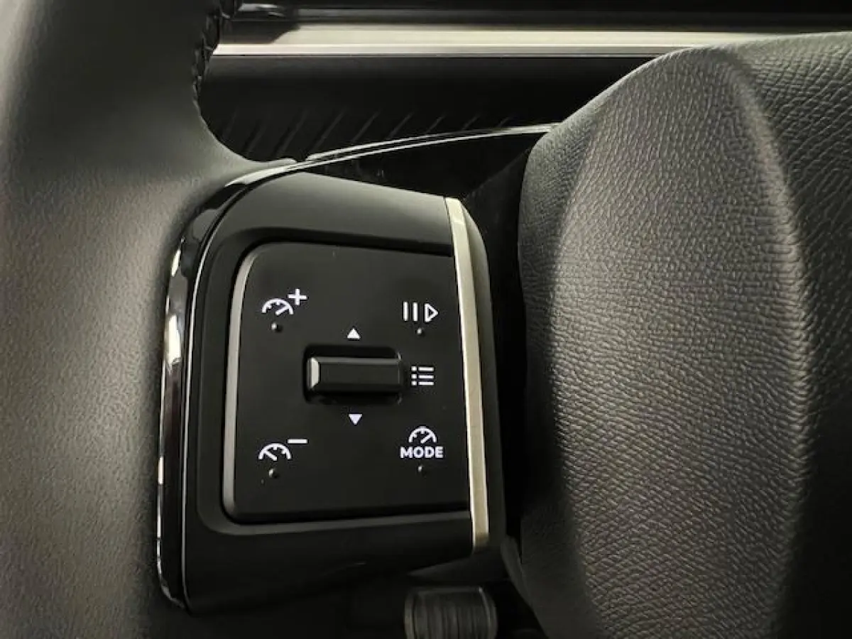 Max 113pk Extended Range 54 kWh Climate control / wit dak / Navi / Camera /