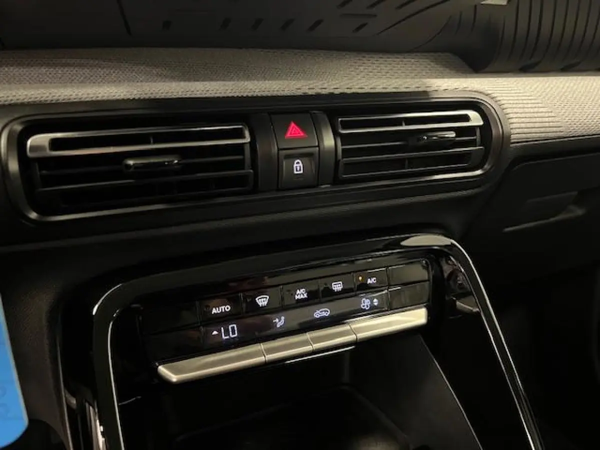 Max 113pk Extended Range 54 kWh Climate control / wit dak / Navi / Camera /