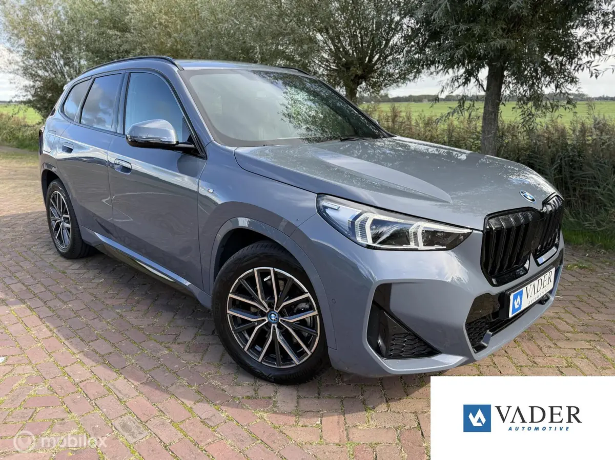 xDrive25e M Sportpakket Leder H&K Trekhaak Memory