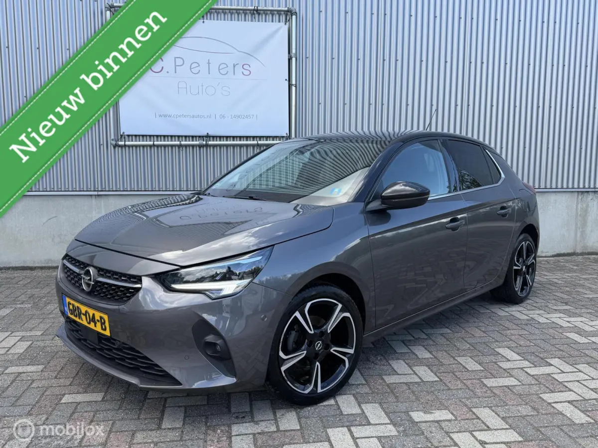 1.2 Elegance 2021 / Panodak / Rondom Camera / Carplay / LED / 17” / NAP