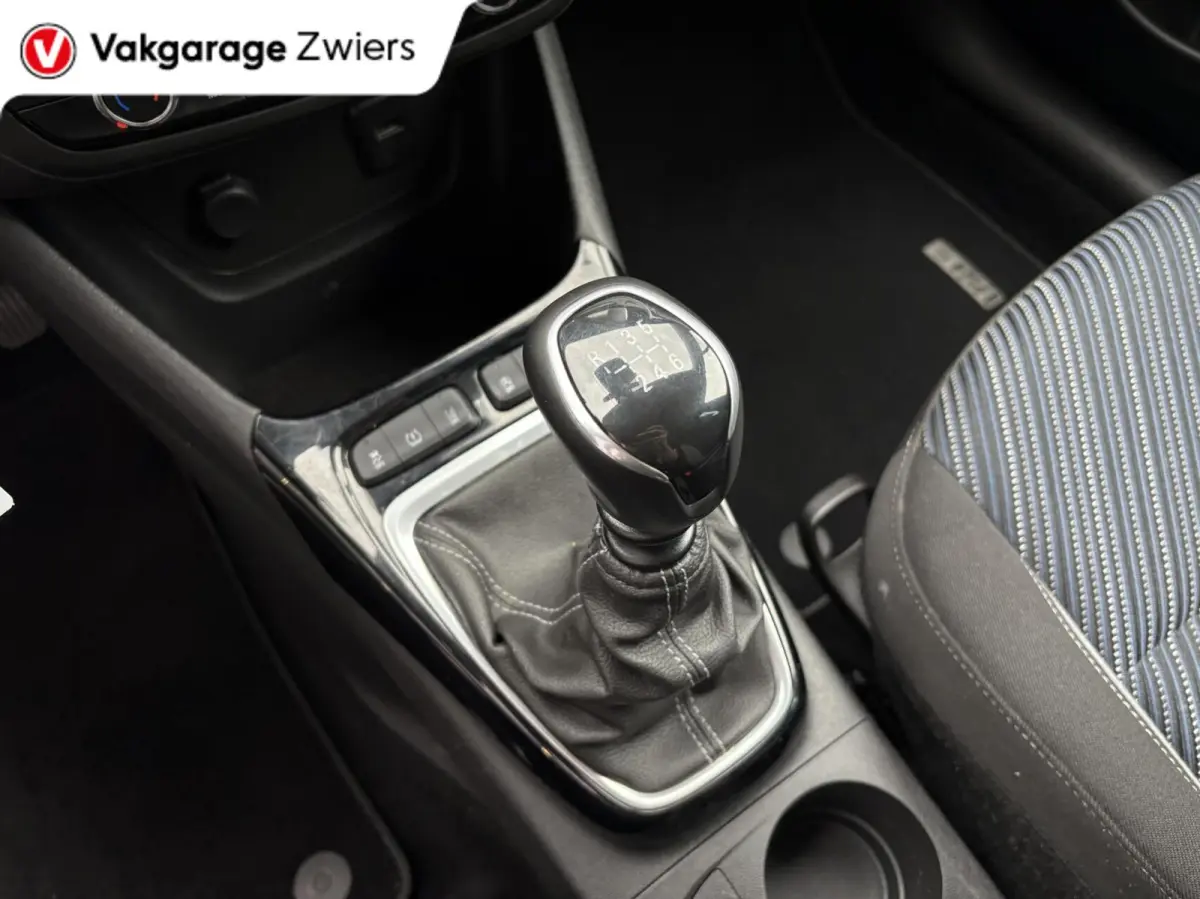 1.2 Turbo 120 Jaar Edition Cruise|Carplay|Airco.