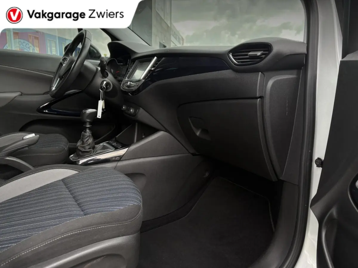 1.2 Turbo 120 Jaar Edition Cruise|Carplay|Airco.