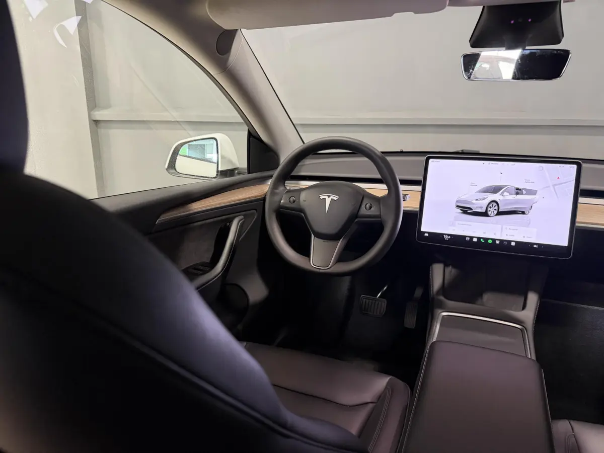 Long Range AWD 75 kWh | Trekhaak | SOH 91,7% | Hoge instap |