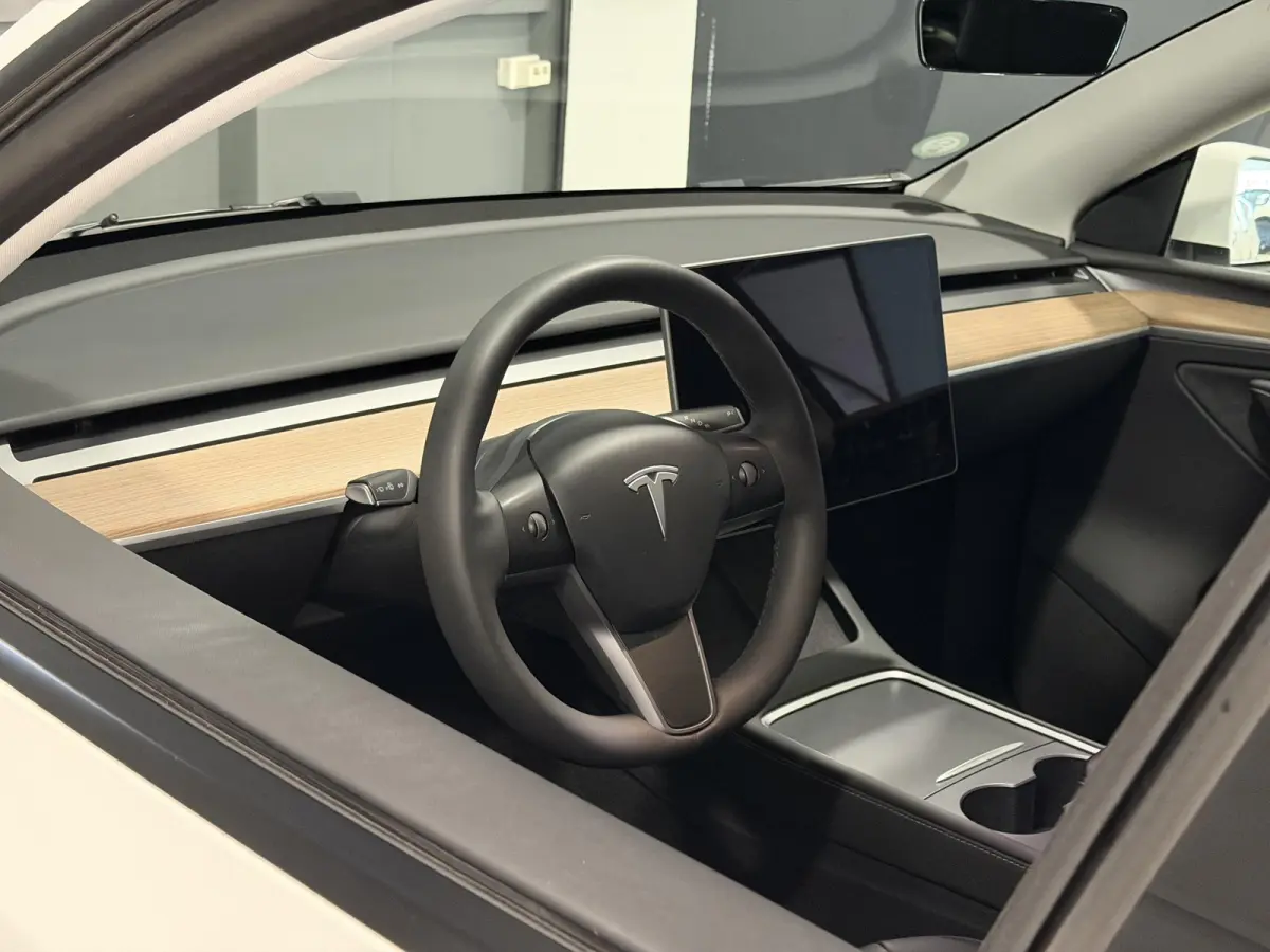 Long Range AWD 75 kWh | Trekhaak | SOH 91,7% | Hoge instap |