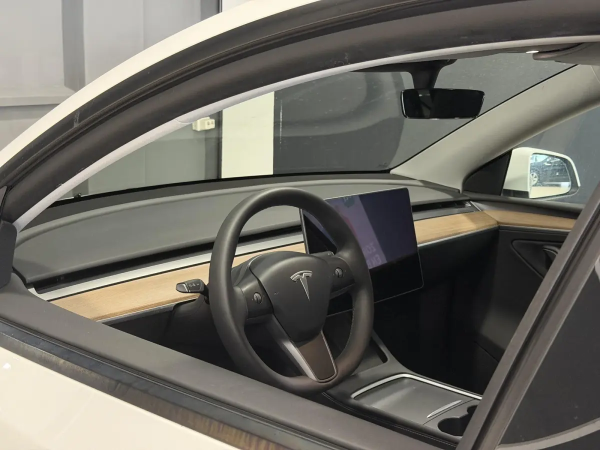 Long Range AWD 75 kWh | SOH 91% |