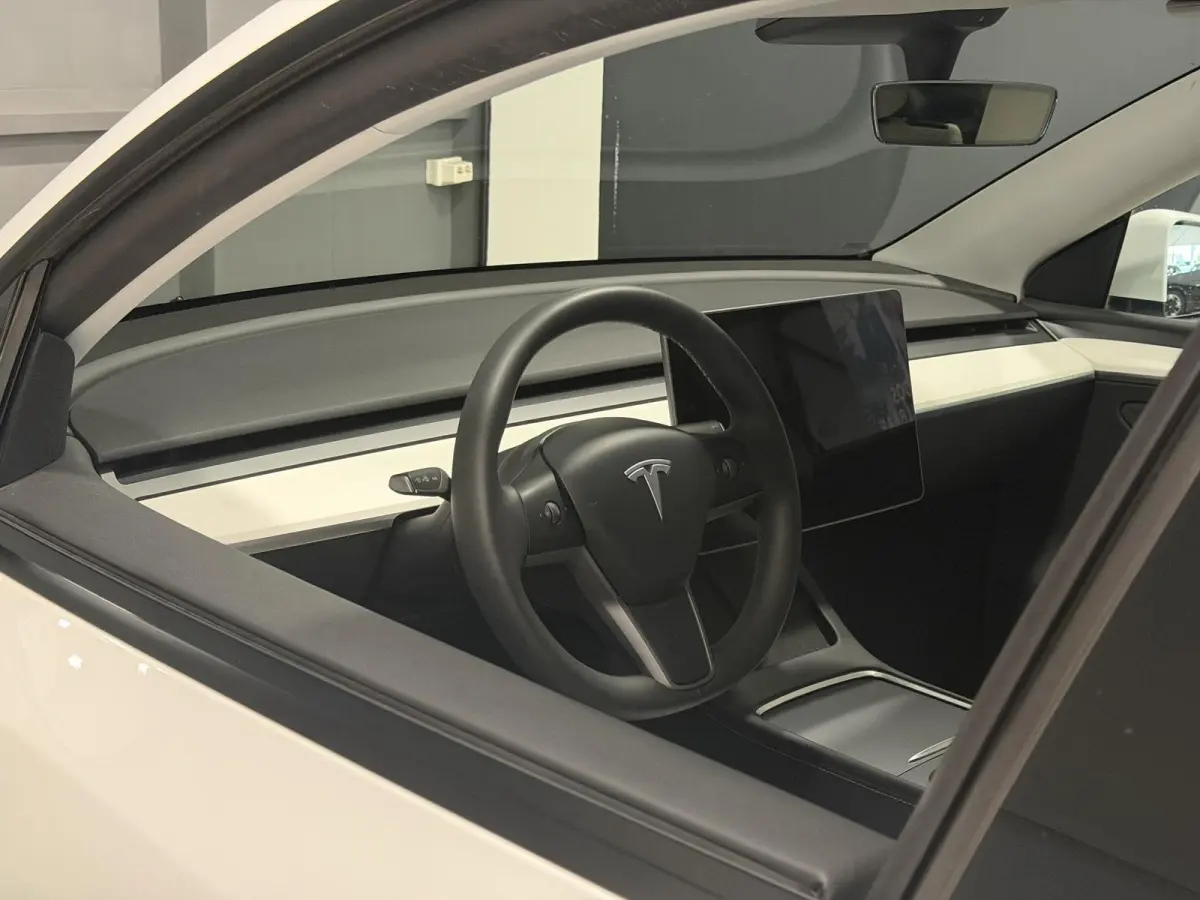 RWD 58 kWh | Trekhaak | SOH 94,3% | Wit leder interieur |