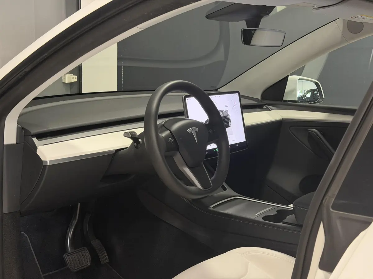 RWD 58 kWh | Trekhaak | SOH 94,3% | Wit leder interieur |