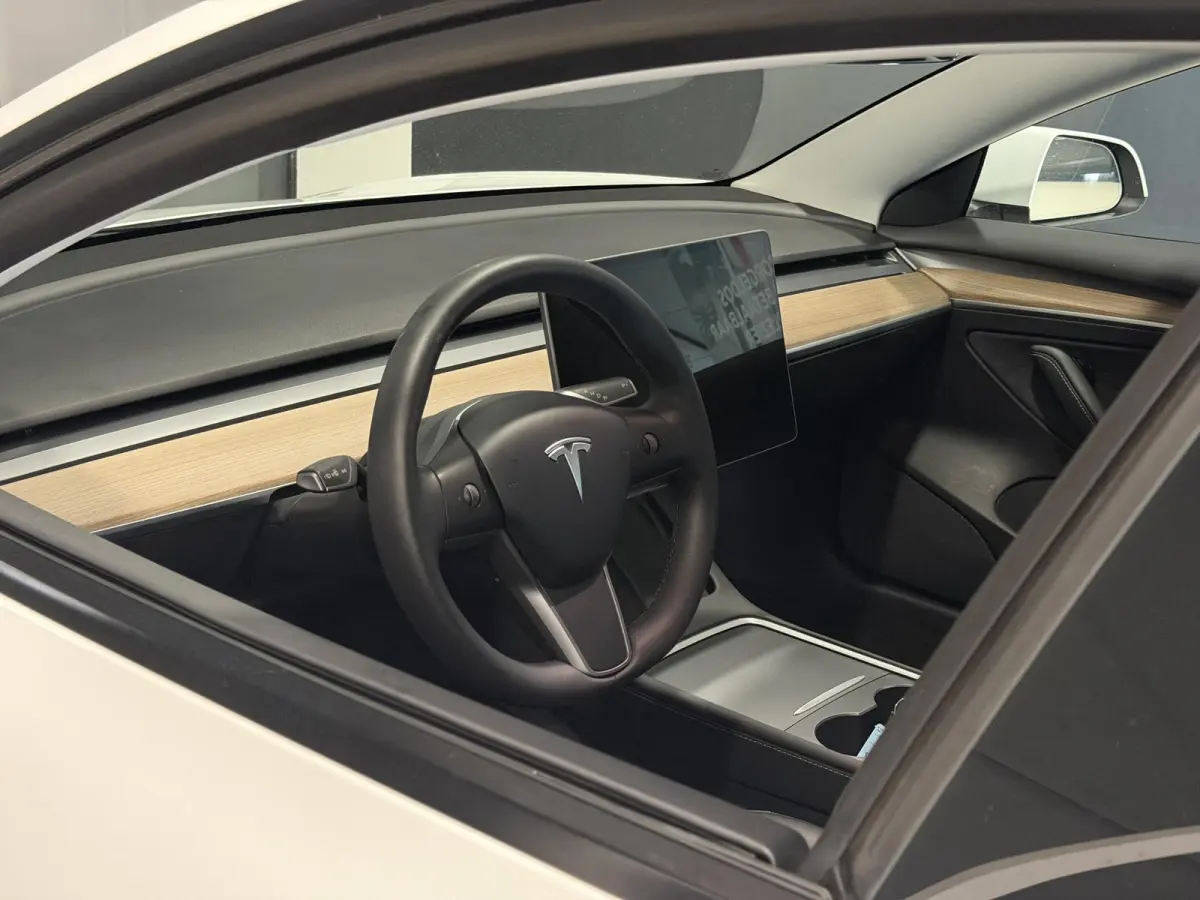 Long Range AWD 75 kWh | Trekhaak | SOH 95% |