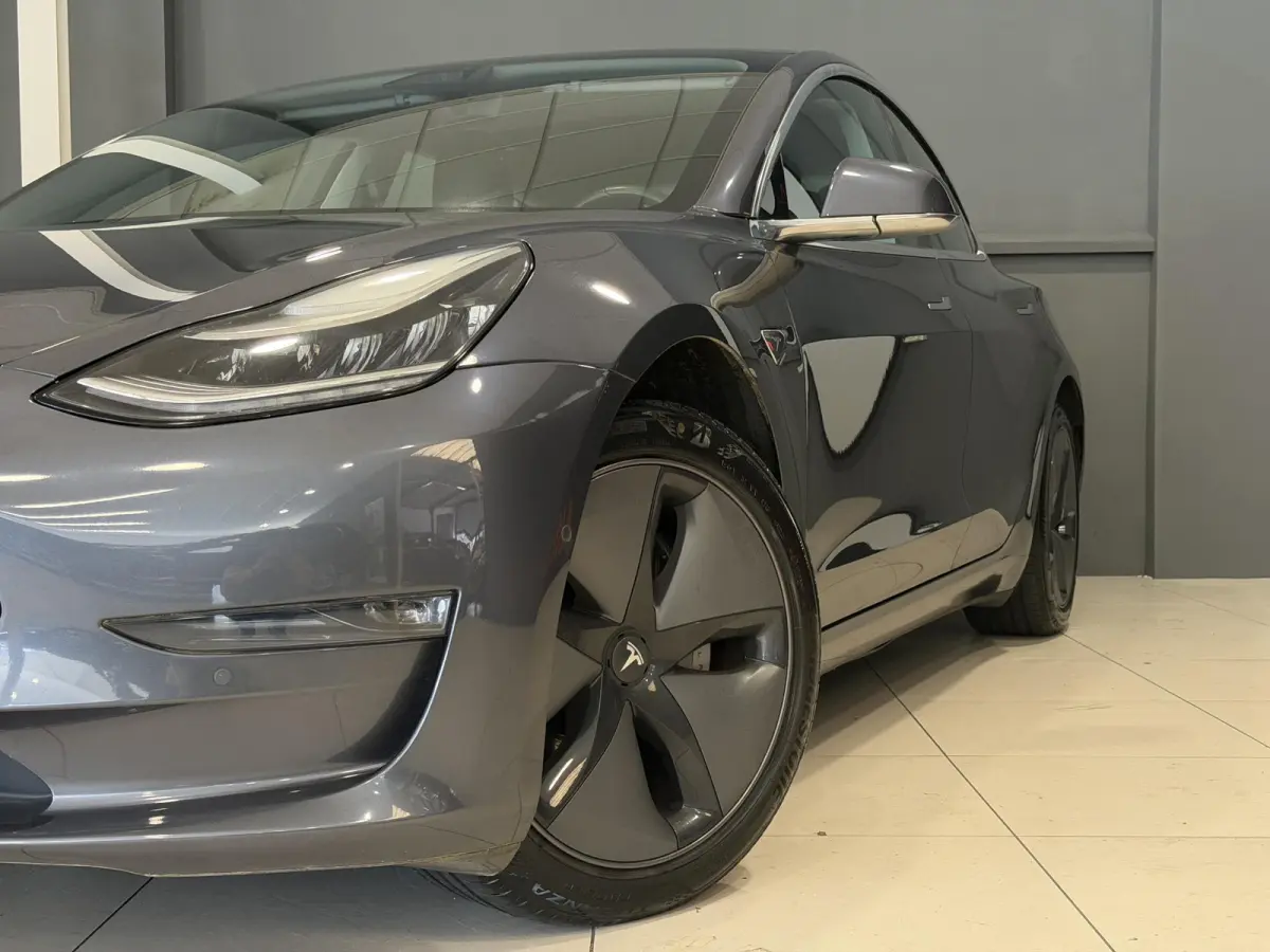 Long Range AWD 75 kWh | Autopilot | SOH 87,4% | 51.967km! |