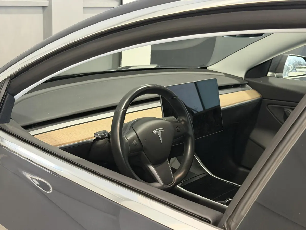 Long Range AWD 75 kWh | Autopilot | SOH 87,4% | 51.967km! |