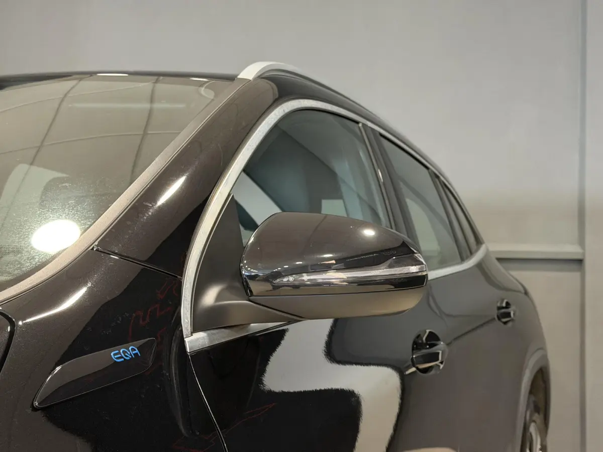 250 Business Solution Luxury 67 kWh | SOH 95,27% | Hoge instap |