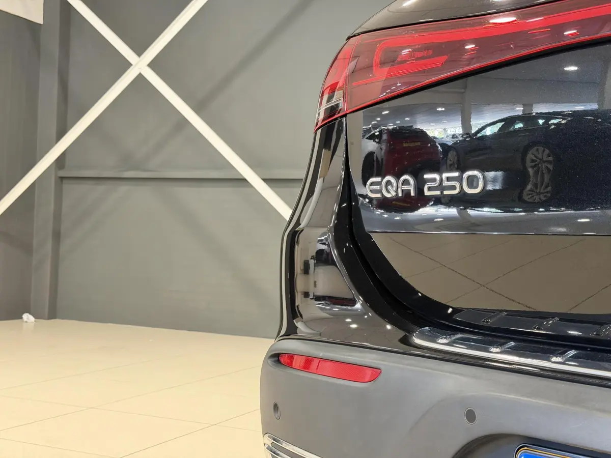 250 Business Solution Luxury 67 kWh | SOH 95,27% | Hoge instap |