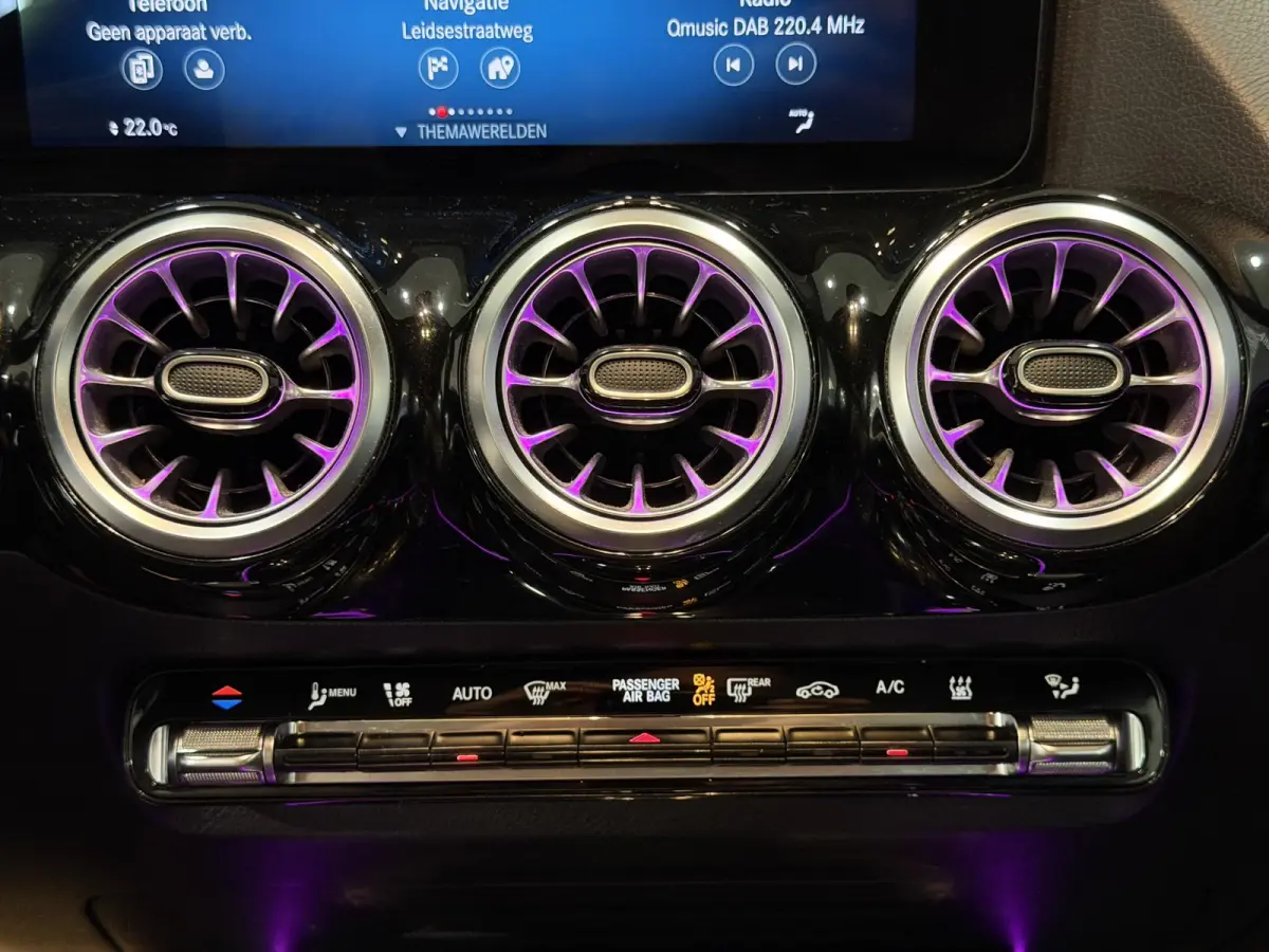 250 Business Solution Luxury 67 kWh | SOH 95,27% | Hoge instap |