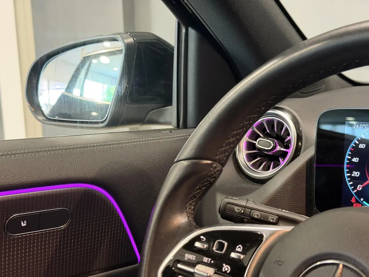 250 Business Solution Luxury 67 kWh | SOH 95,27% | Hoge instap |
