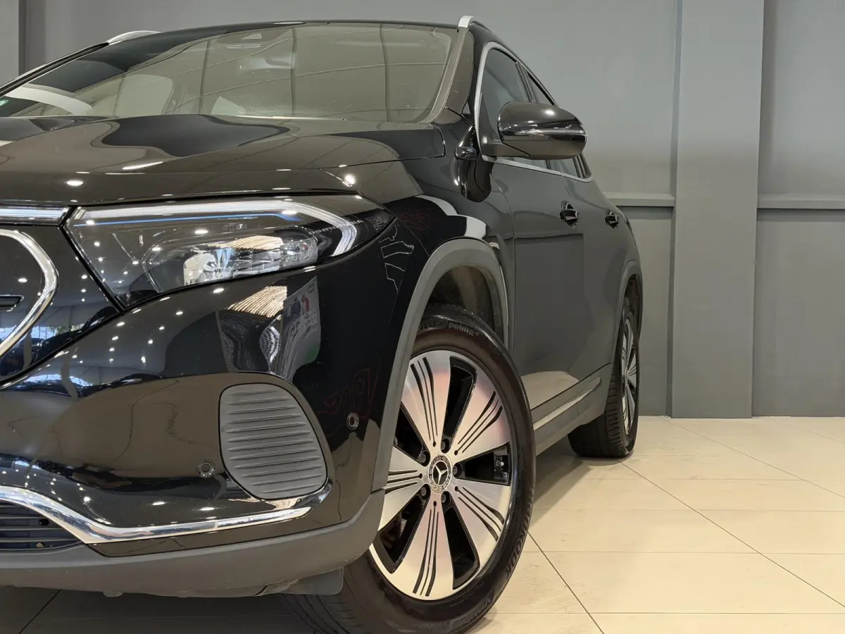 250 Business Solution Luxury 67 kWh | SOH 95,27% | Hoge instap |