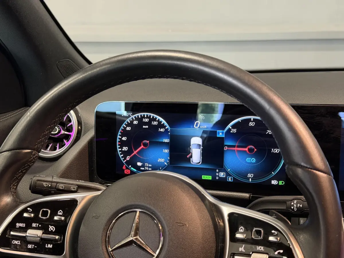 250 Business Solution Luxury 67 kWh | SOH 95,27% | Hoge instap |