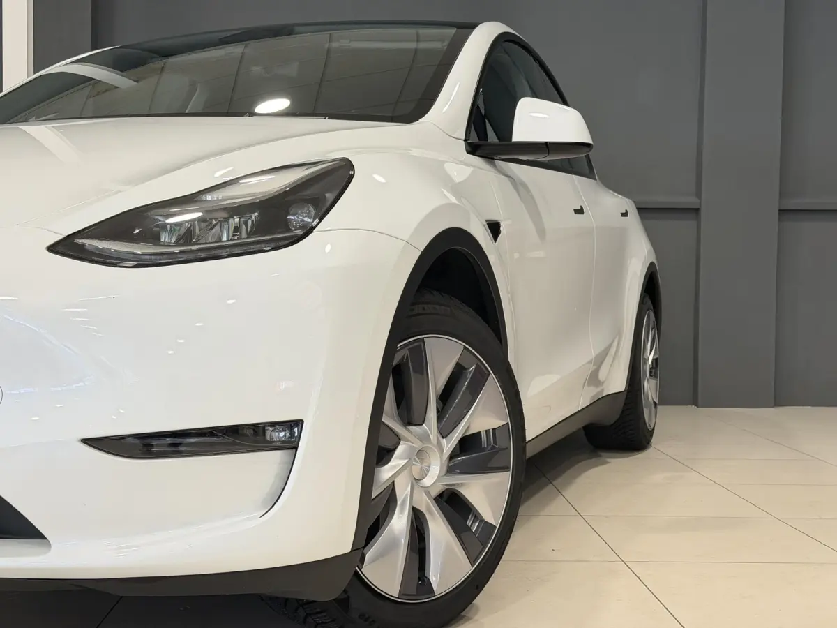 Long Range AWD 75 kWh | Leder | SOH 94% | Hoge instap |