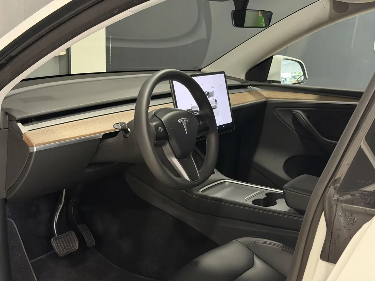 Long Range AWD 75 kWh | Leder | SOH 94% | Hoge instap |