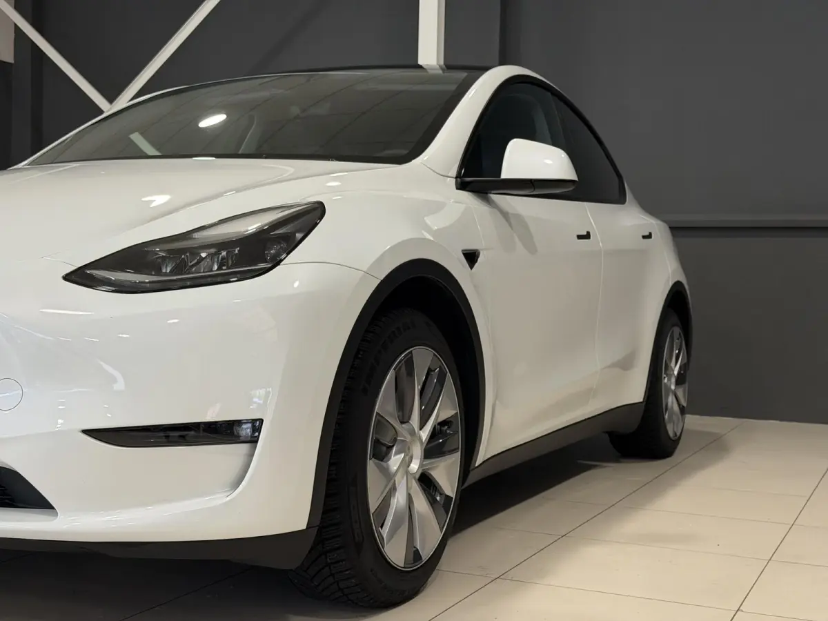 Long Range AWD 75 kWh | Leder | SOH 94% | Hoge instap |