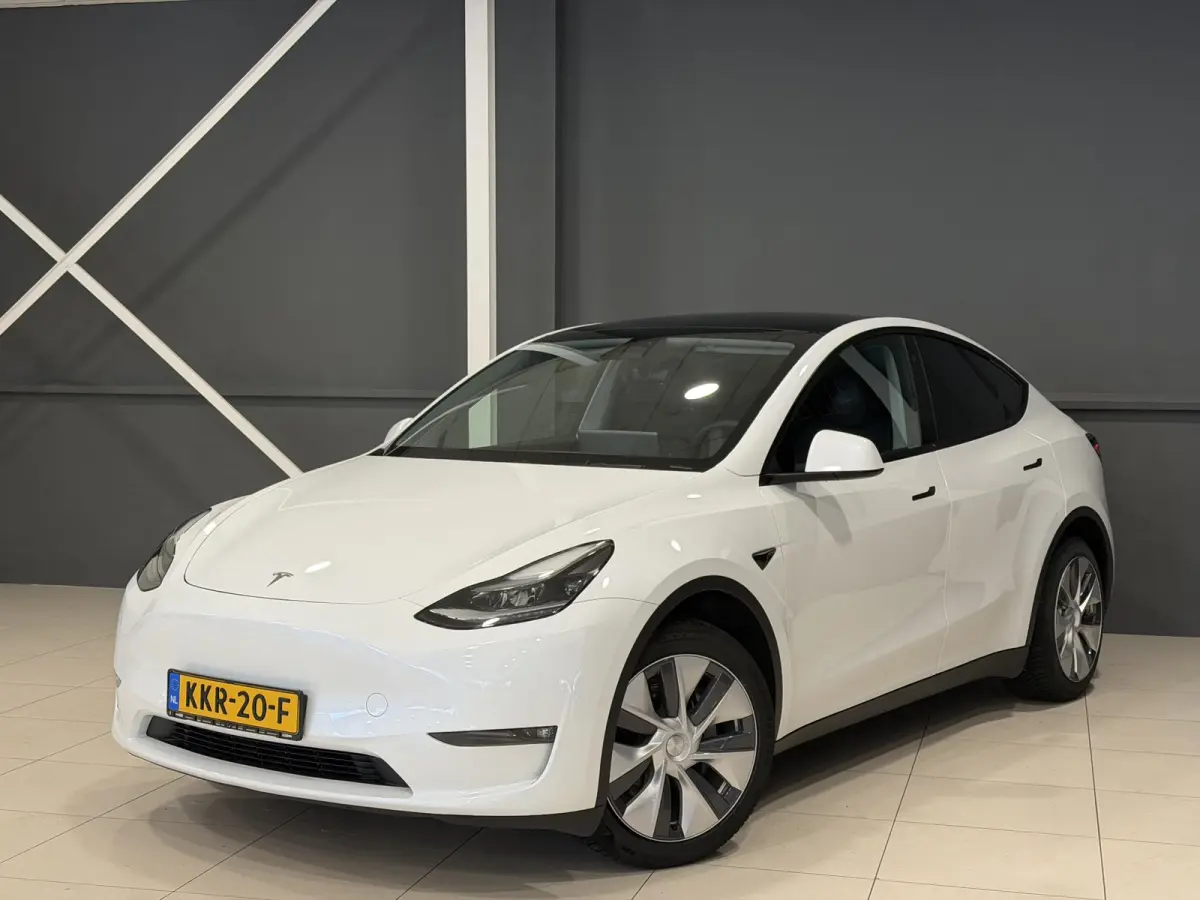Long Range AWD 75 kWh | Leder | SOH 94% | Hoge instap |