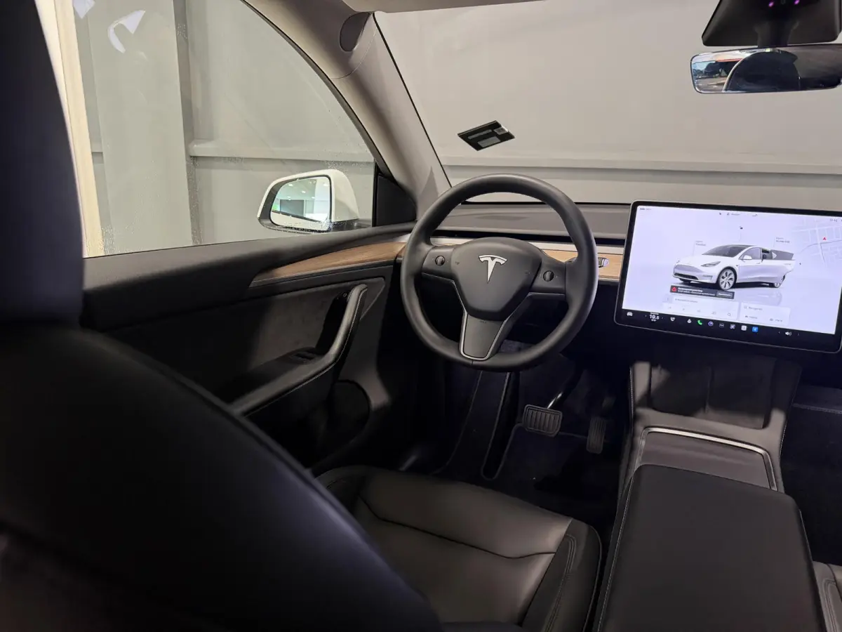 Long Range AWD 75 kWh | Leder | SOH 94% | Hoge instap |