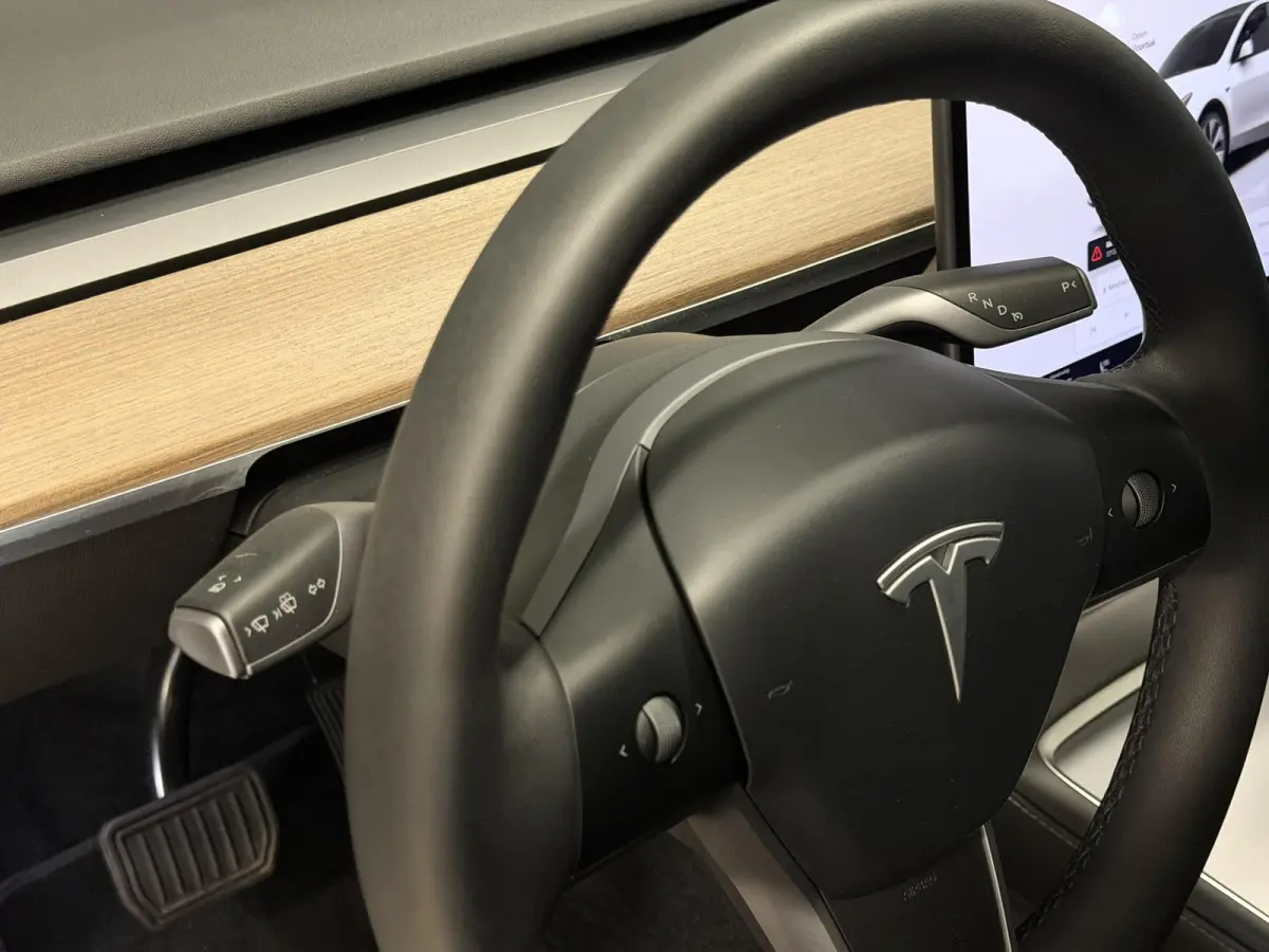 Long Range AWD 75 kWh | Leder | SOH 94% | Hoge instap |