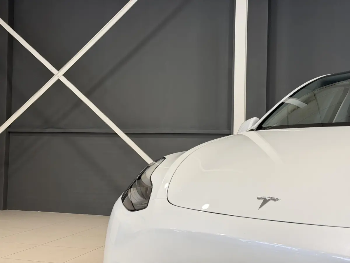 Long Range AWD 75 kWh | Leder | SOH 94% | Hoge instap |