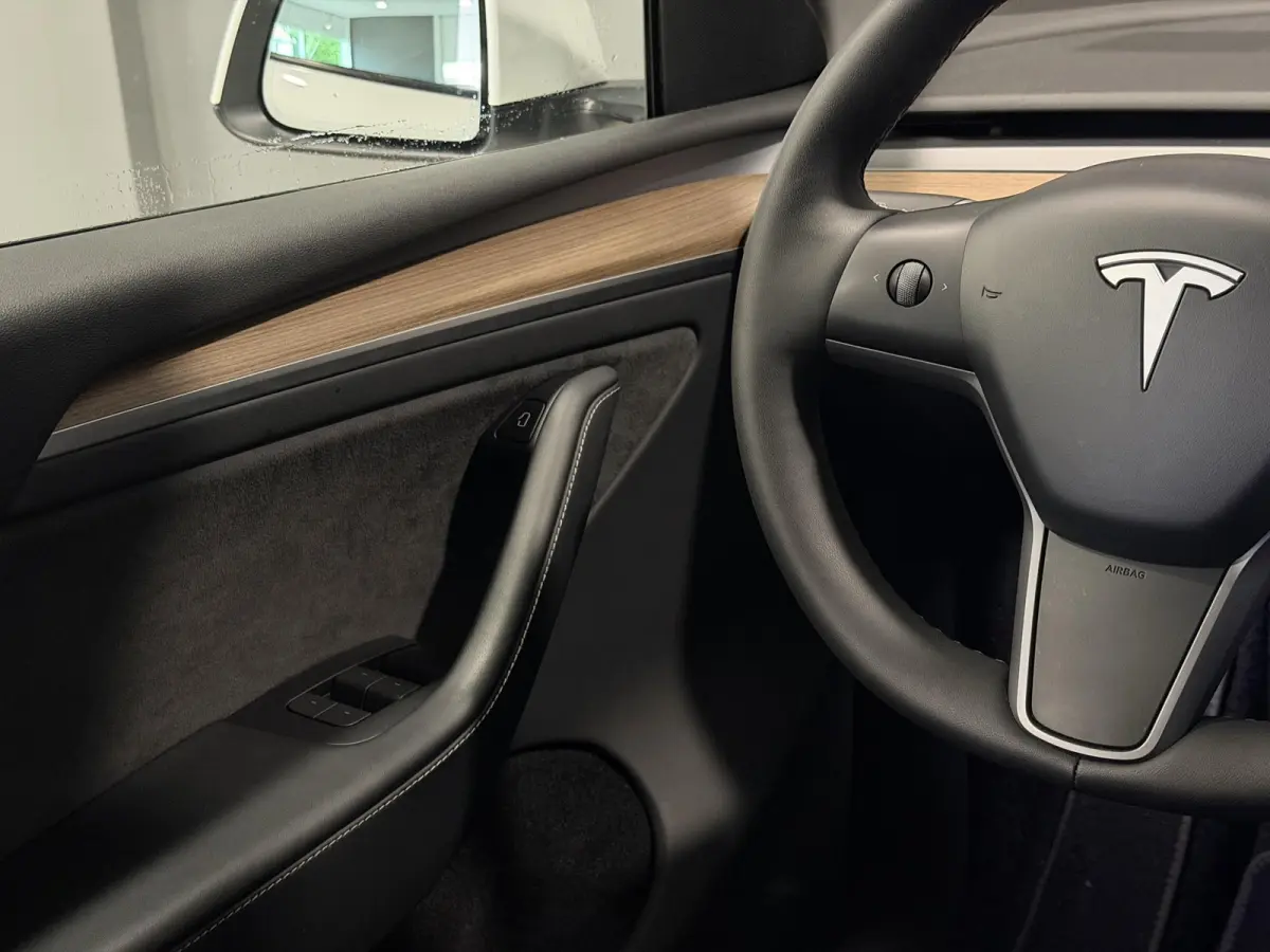 Long Range AWD 75 kWh | Leder | SOH 94% | Hoge instap |