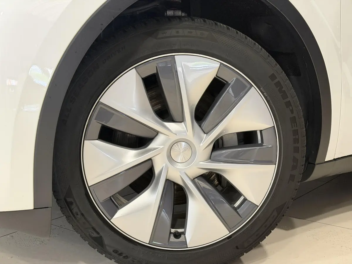 Long Range AWD 75 kWh | Leder | SOH 94% | Hoge instap |