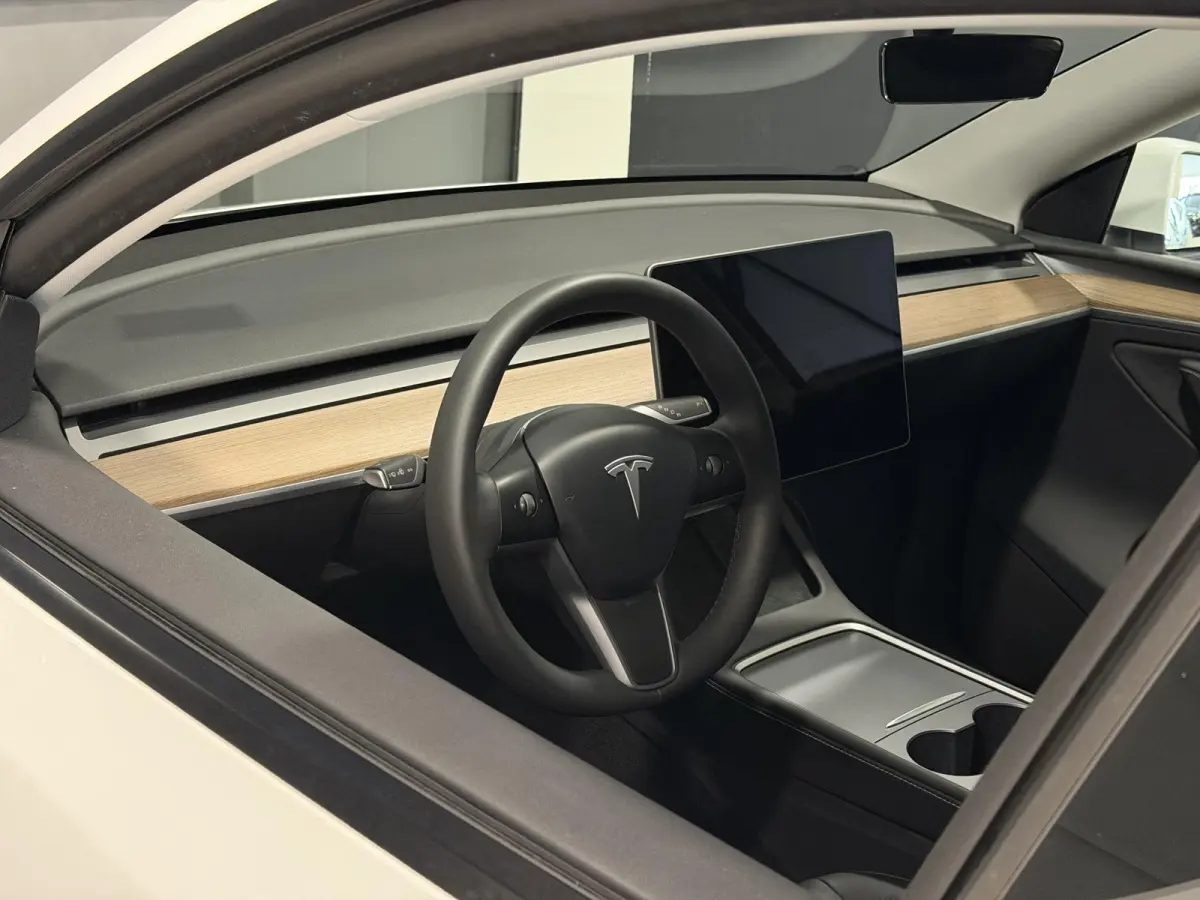 Long Range AWD 75 kWh | Leder | SOH 94% | Hoge instap |