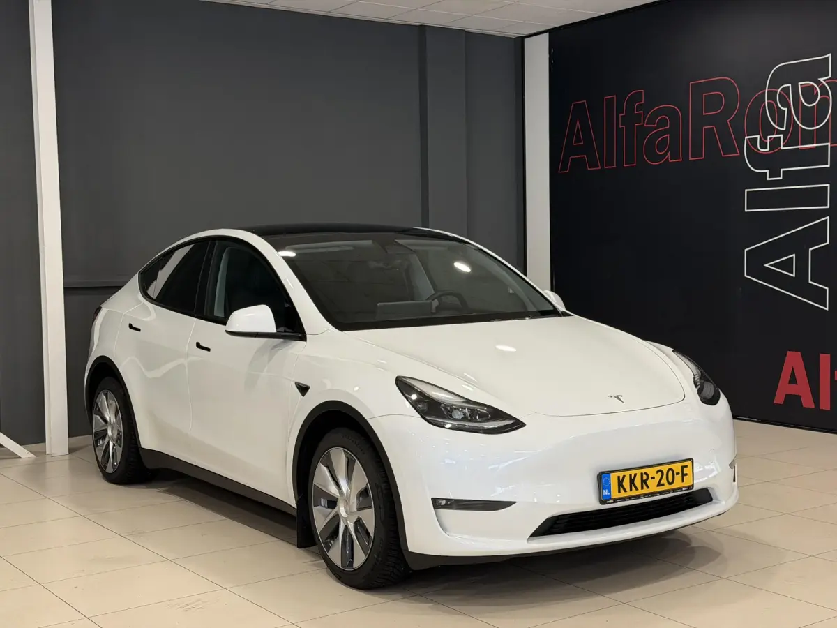 Long Range AWD 75 kWh | Leder | SOH 94% | Hoge instap |