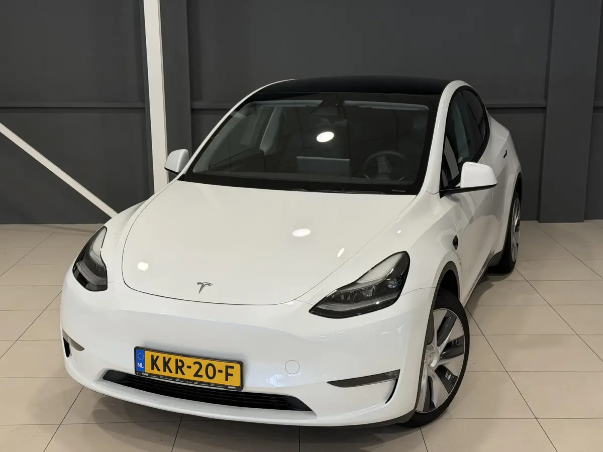 Long Range AWD 75 kWh | Leder | SOH 94% | Hoge instap |