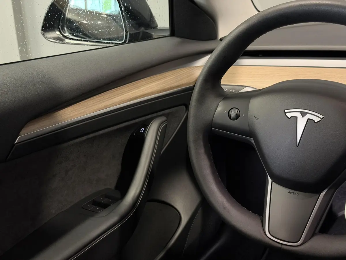 Long Range AWD 75 kWh | Performance wielen | SOH 93,9% |