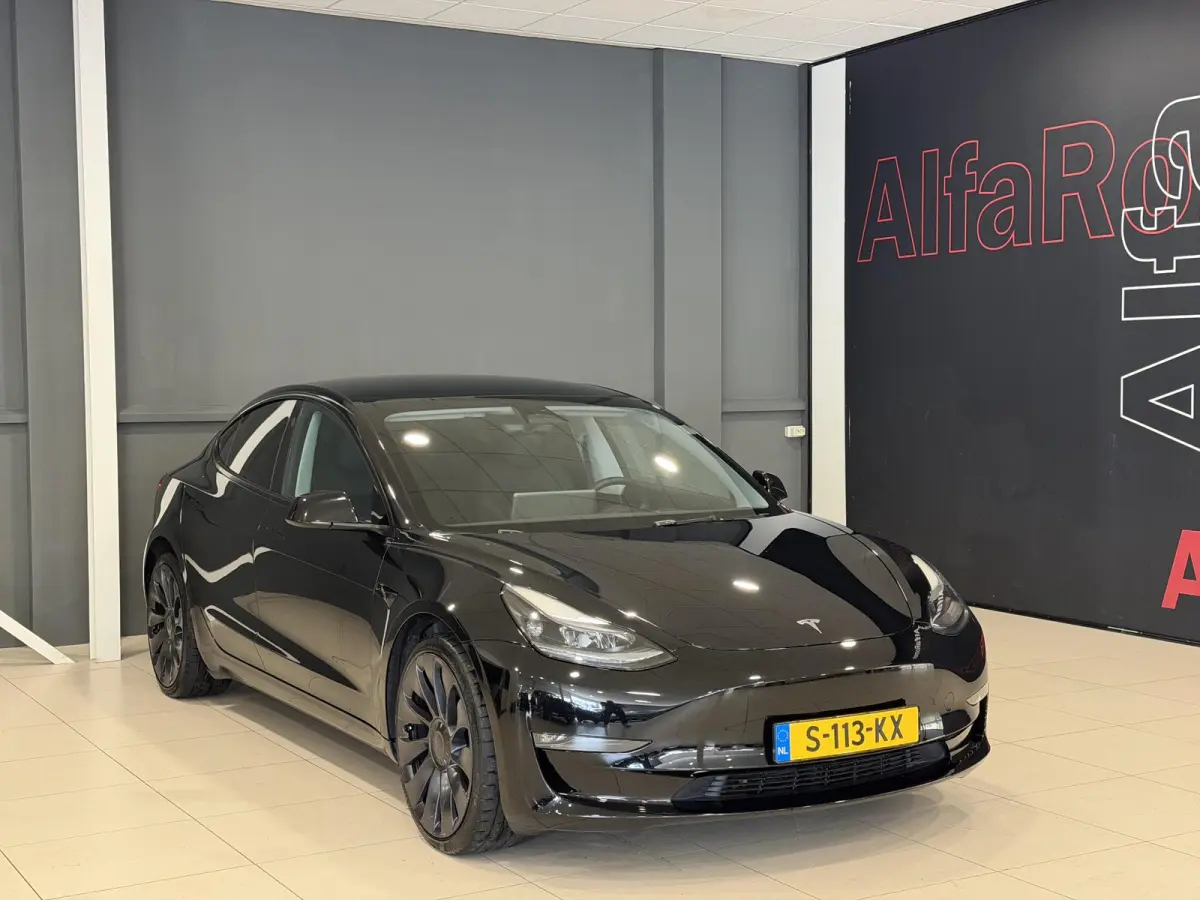 Long Range AWD 75 kWh | Performance wielen | SOH 93,9% |