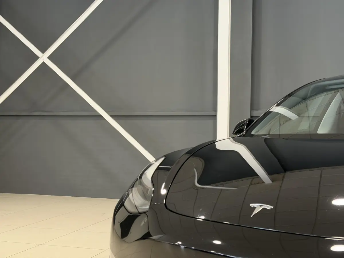 Long Range AWD 75 kWh | Performance wielen | SOH 93,9% |