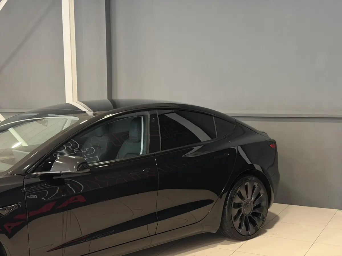 Long Range AWD 75 kWh | Performance wielen | SOH 93,9% |