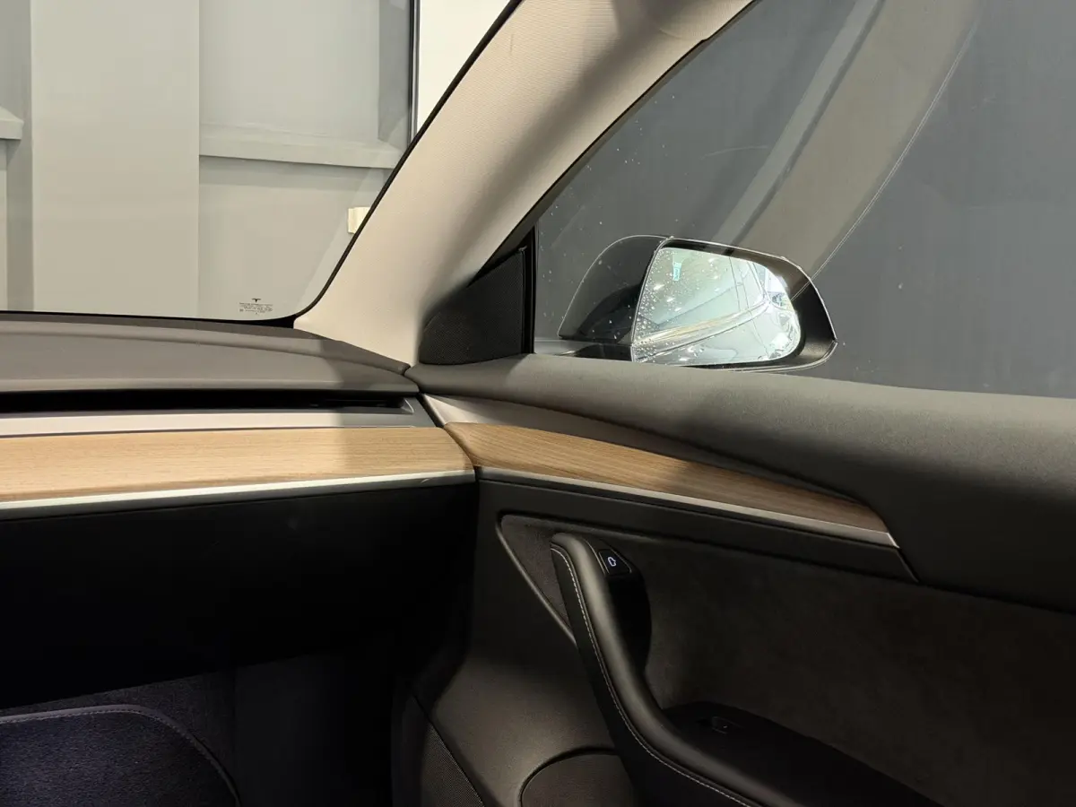 Long Range AWD 75 kWh | Performance wielen | SOH 93,9% |