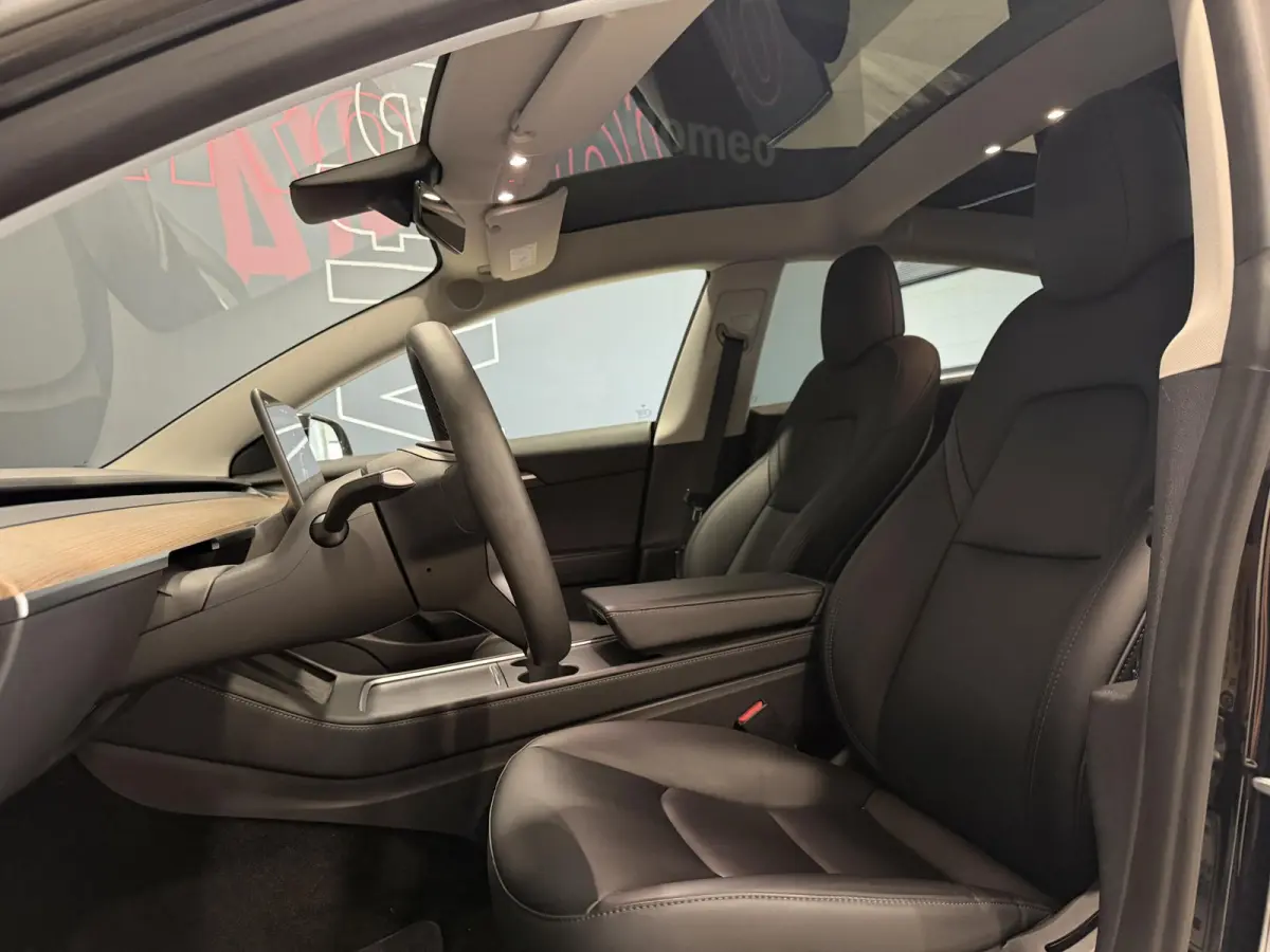 Long Range AWD 75 kWh | Performance wielen | SOH 93,9% |