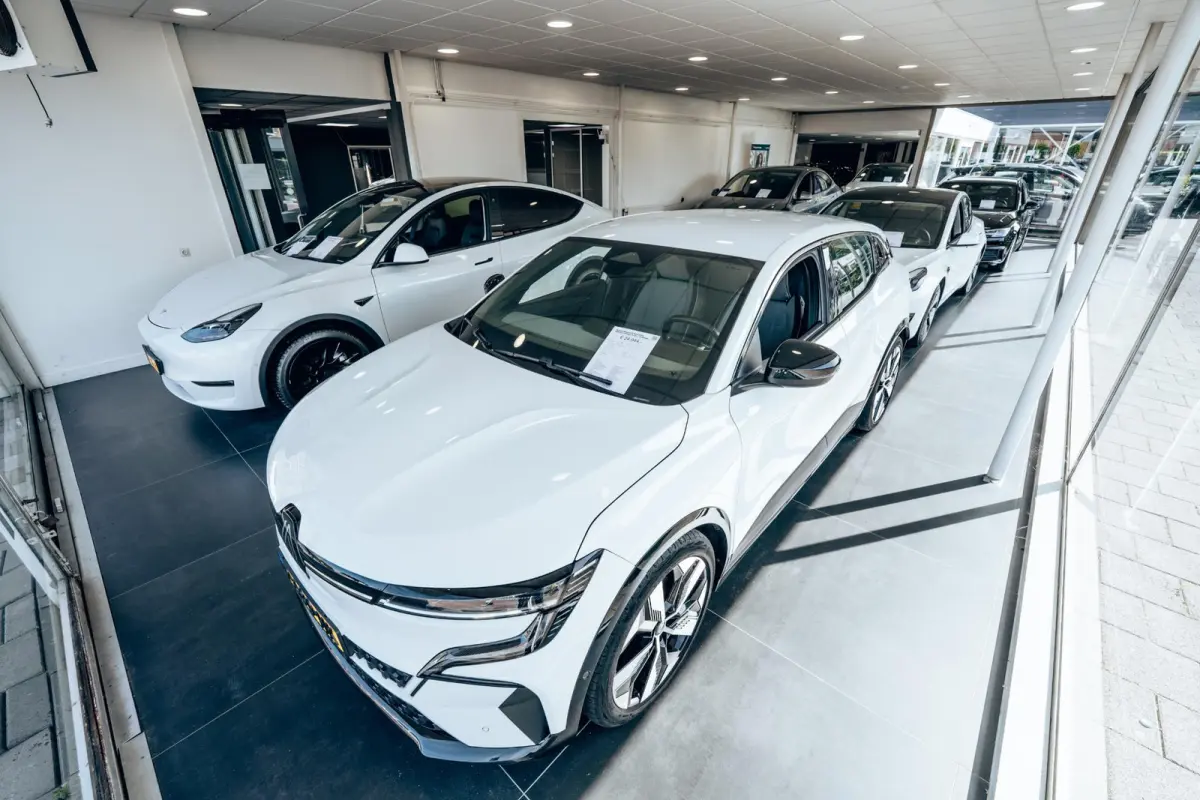 Long Range AWD 75 kWh | Performance wielen | SOH 93,9% |
