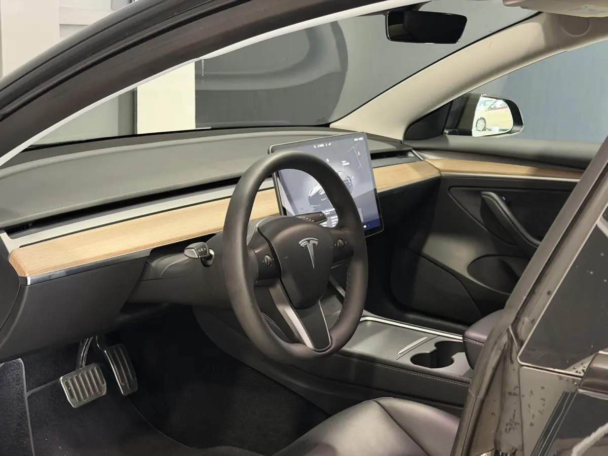 Long Range AWD 75 kWh | Performance wielen | SOH 93,9% |