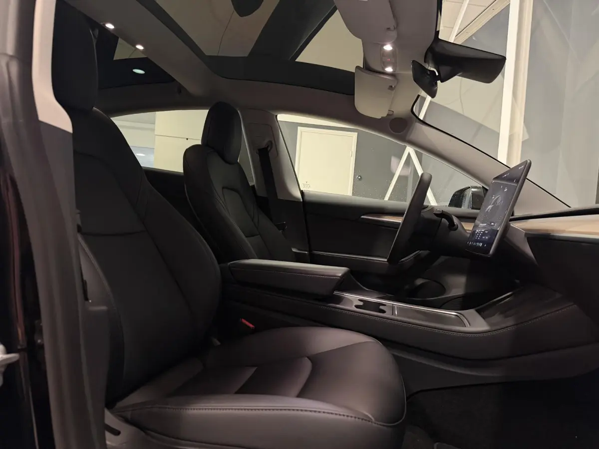 Long Range AWD 75 kWh | Performance wielen | SOH 93,9% |
