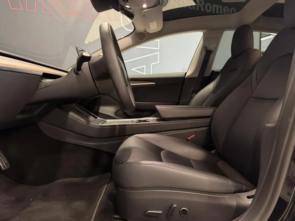 Long Range AWD 75 kWh | Performance wielen | SOH 93,9% |