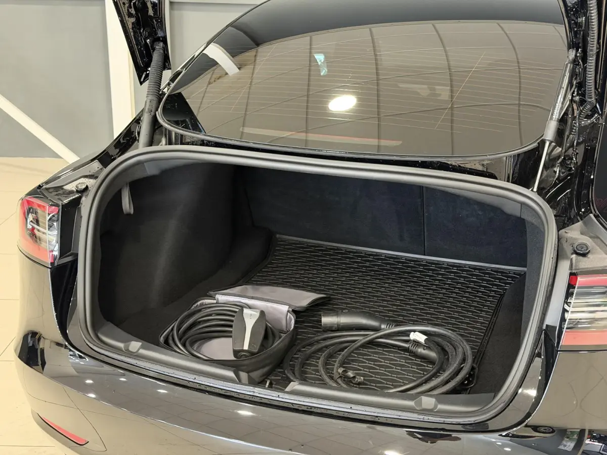 Long Range AWD 75 kWh | Performance wielen | SOH 93,9% |