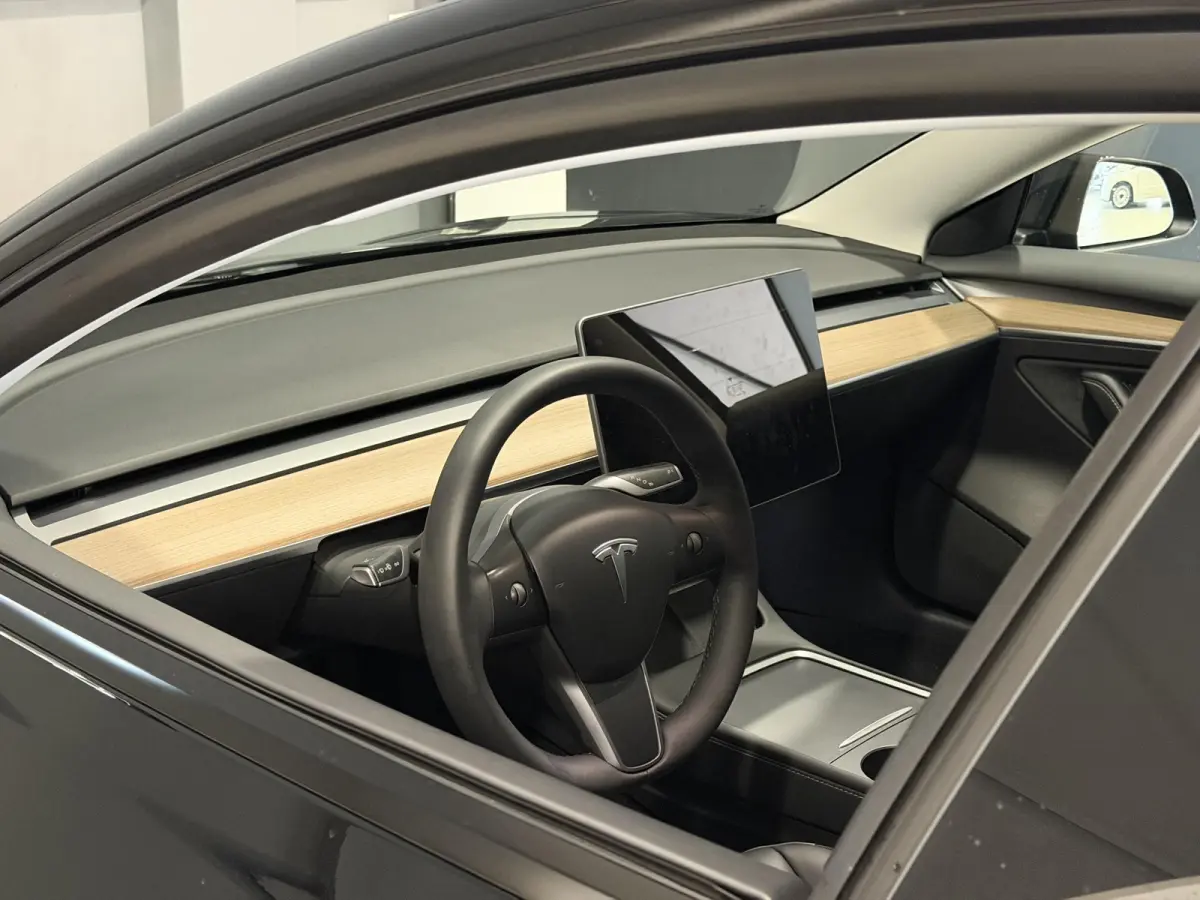 Long Range AWD 75 kWh | Performance wielen | SOH 93,9% |